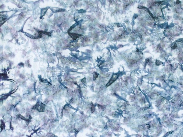 Raja Batiks