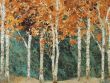 bg-066-09-8045