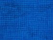 cha-031-1055
