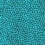 Dotty