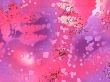 fos-014a-8016g