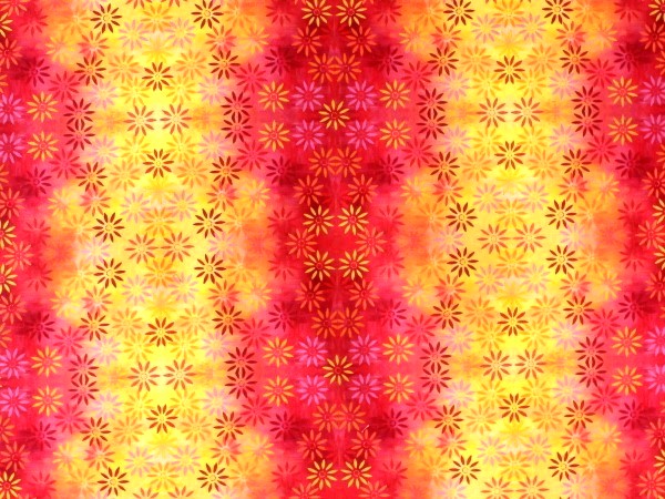 Sue Penn Designs