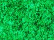 gr-001-02-9095