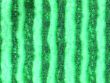 og-022-09-1128